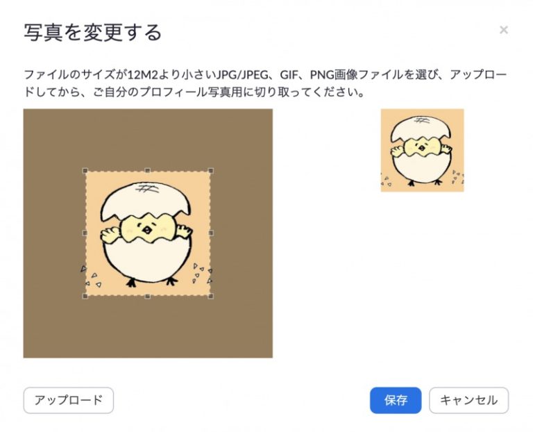 PC版Zoomのアイコンを変更する設定方法【画像で解説】